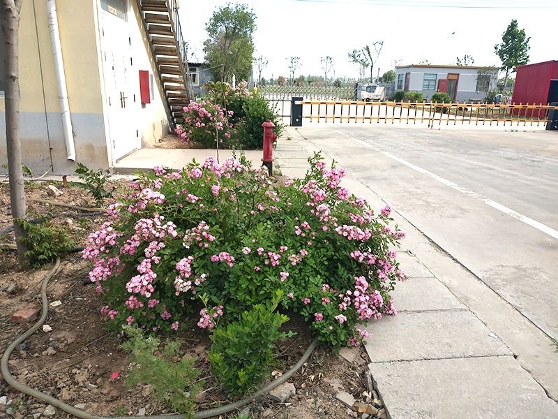 廠景圖